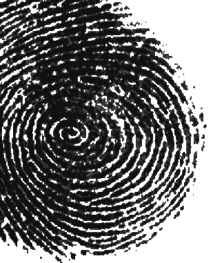 Gro�er Fingerabdruck
